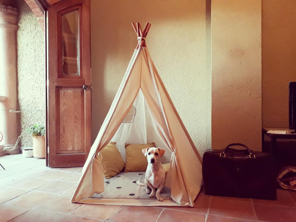Lool Beh Hostal San Miguel de Allende Exterior foto